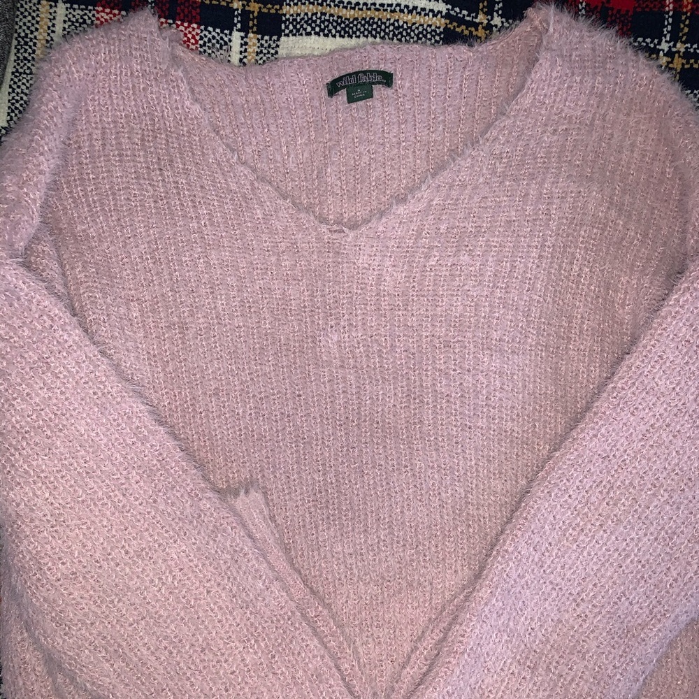 Wild Fable crop sweater